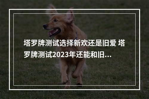 塔罗牌测试选择新欢还是旧爱 塔罗牌测试2023年还能和旧爱在一起吗