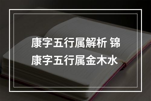 康字五行属解析 锦康字五行属金木水
