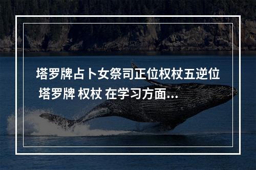 塔罗牌占卜女祭司正位权杖五逆位 塔罗牌 权杖 在学习方面是什么意思