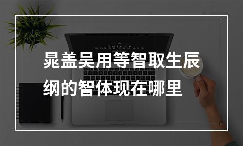 晁盖吴用等智取生辰纲的智体现在哪里