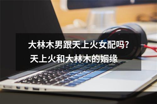 大林木男跟天上火女配吗? 天上火和大林木的姻缘