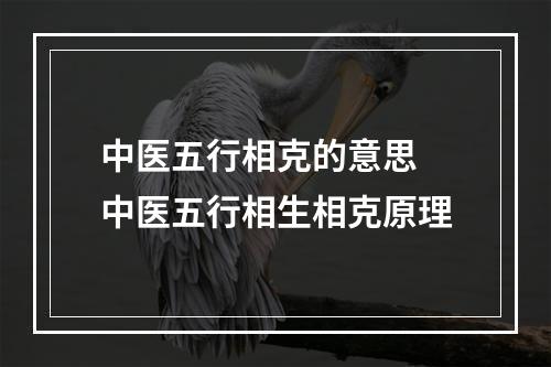 中医五行相克的意思 中医五行相生相克原理