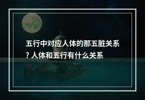 五行中对应人体的那五脏关系? 人体和五行有什么关系