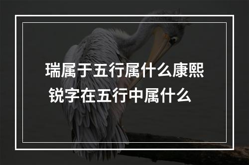 瑞属于五行属什么康熙 锐字在五行中属什么