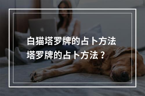 白猫塔罗牌的占卜方法 塔罗牌的占卜方法 ？