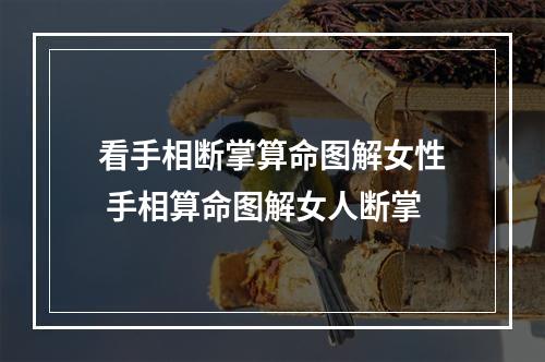 看手相断掌算命图解女性 手相算命图解女人断掌