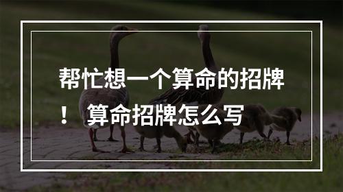帮忙想一个算命的招牌！ 算命招牌怎么写