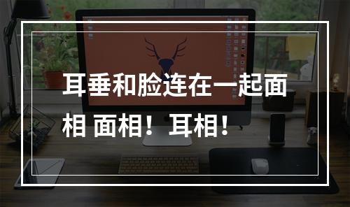 耳垂和脸连在一起面相 面相！耳相！