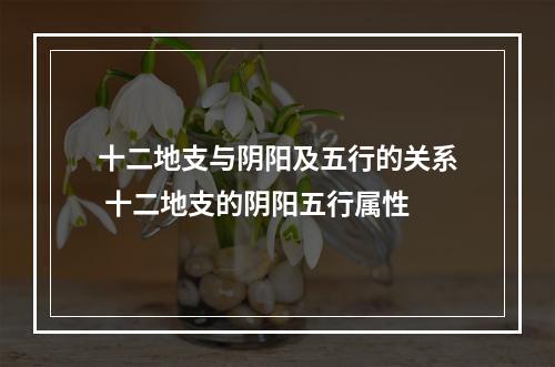 十二地支与阴阳及五行的关系 十二地支的阴阳五行属性