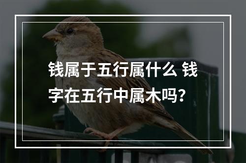 钱属于五行属什么 钱字在五行中属木吗？