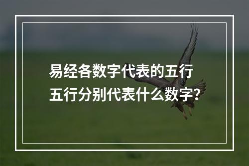 易经各数字代表的五行 五行分别代表什么数字？