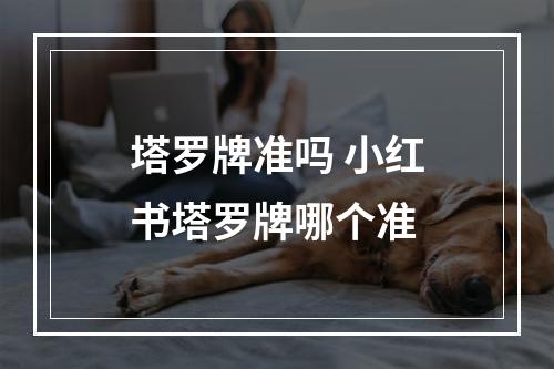 塔罗牌准吗 小红书塔罗牌哪个准