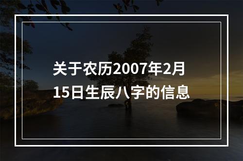 关于农历2007年2月15日生辰八字的信息