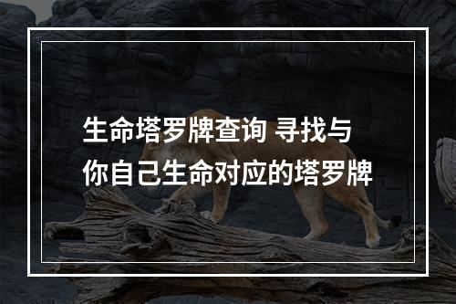 生命塔罗牌查询 寻找与你自己生命对应的塔罗牌