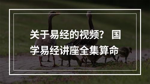 关于易经的视频？ 国学易经讲座全集算命