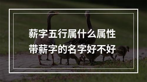 薪字五行属什么属性 带薪字的名字好不好