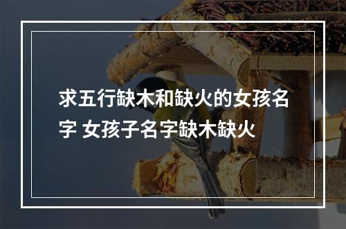 求五行缺木和缺火的女孩名字 女孩子名字缺木缺火