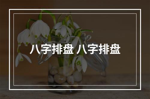 八字排盘 八字排盘