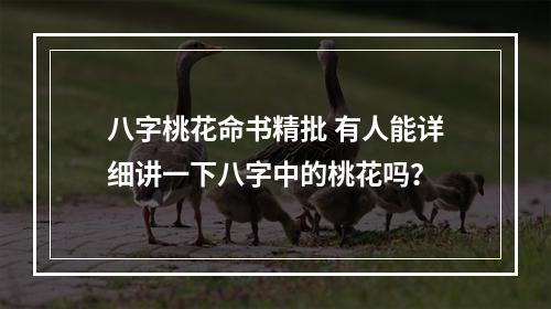 八字桃花命书精批 有人能详细讲一下八字中的桃花吗？