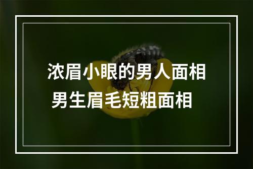 浓眉小眼的男人面相 男生眉毛短粗面相