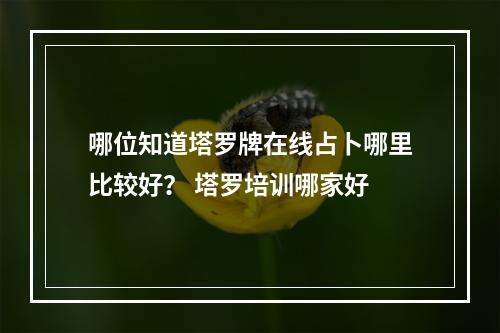 哪位知道塔罗牌在线占卜哪里比较好？ 塔罗培训哪家好
