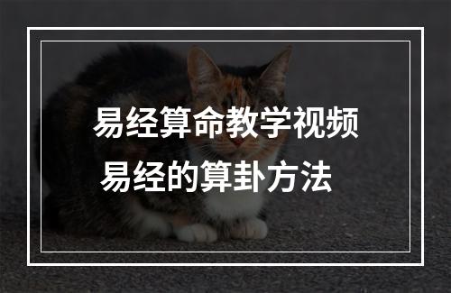 易经算命教学视频 易经的算卦方法