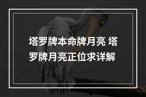 塔罗牌本命牌月亮 塔罗牌月亮正位求详解