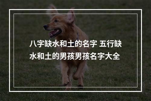 八字缺水和土的名字 五行缺水和土的男孩男孩名字大全
