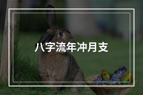八字流年冲月支