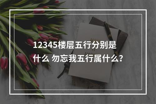 12345楼层五行分别是什么 勿忘我五行属什么？