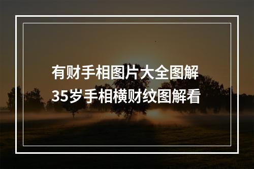 有财手相图片大全图解 35岁手相横财纹图解看