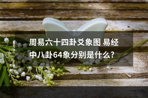 周易六十四卦爻象图 易经中八卦64象分别是什么?