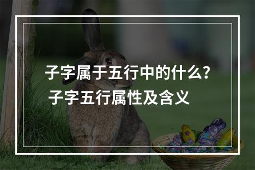 子字属于五行中的什么？ 子字五行属性及含义
