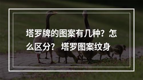 塔罗牌的图案有几种？怎么区分？ 塔罗图案纹身