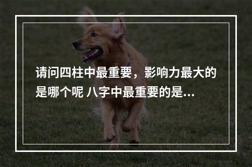 请问四柱中最重要，影响力最大的是哪个呢 八字中最重要的是什么