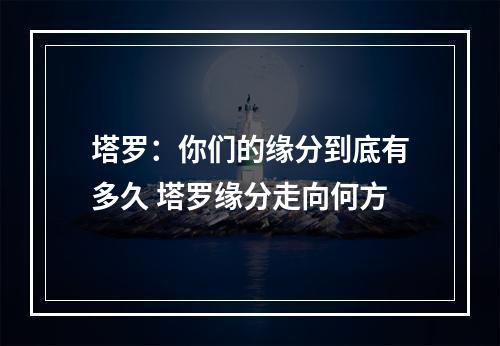 塔罗：你们的缘分到底有多久 塔罗缘分走向何方