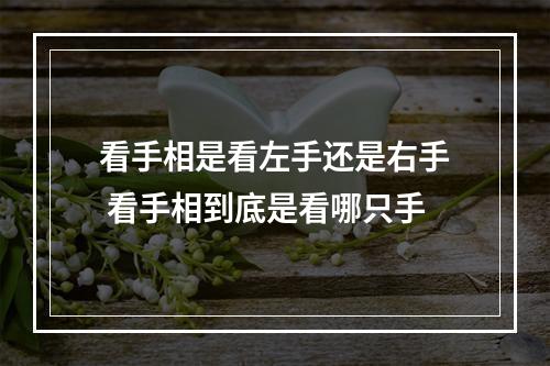 看手相是看左手还是右手 看手相到底是看哪只手