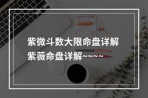 紫微斗数大限命盘详解 紫薇命盘详解~~~~