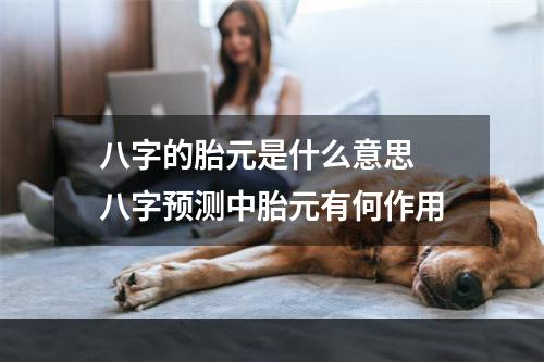 八字的胎元是什么意思 八字预测中胎元有何作用