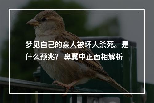 梦见自己的亲人被坏人杀死。是什么预兆？ 鼻翼中正面相解析