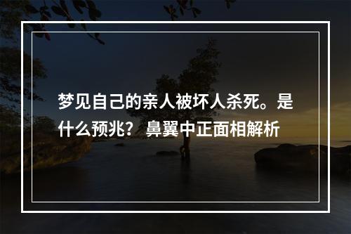 梦见自己的亲人被坏人杀死。是什么预兆？ 鼻翼中正面相解析