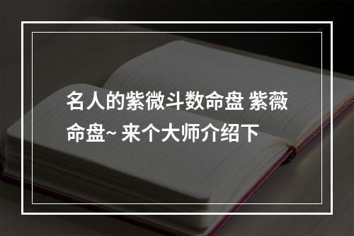 名人的紫微斗数命盘 紫薇命盘~ 来个大师介绍下