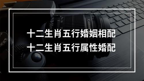 十二生肖五行婚姻相配 十二生肖五行属性婚配