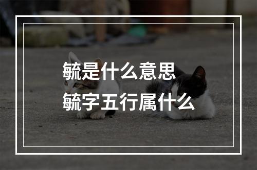 毓是什么意思 毓字五行属什么