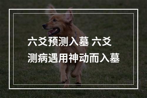 六爻预测入墓 六爻测病遇用神动而入墓
