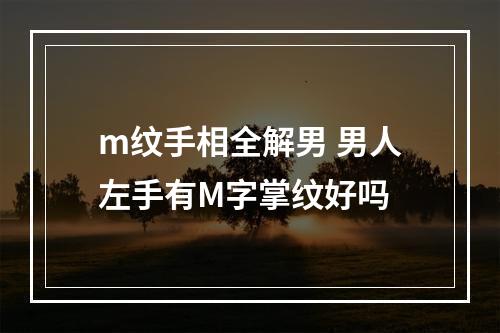 m纹手相全解男 男人左手有M字掌纹好吗