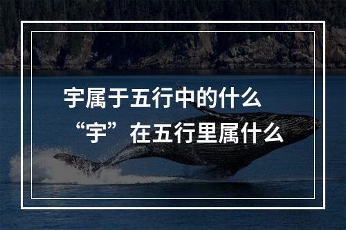 宇属于五行中的什么 “宇”在五行里属什么