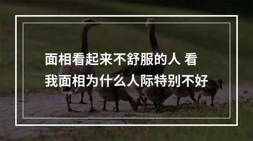 面相看起来不舒服的人 看我面相为什么人际特别不好