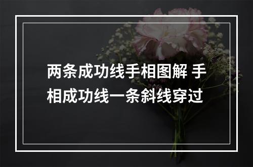 两条成功线手相图解 手相成功线一条斜线穿过
