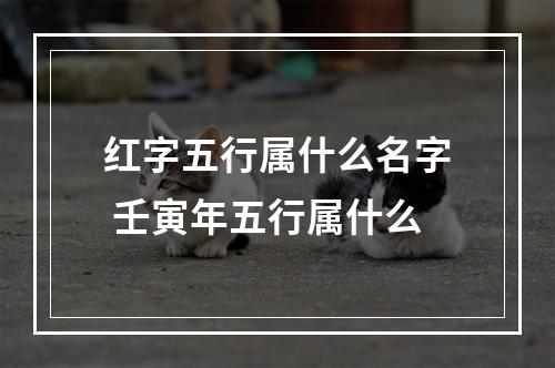 红字五行属什么名字 壬寅年五行属什么
